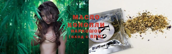 ешки Ельня