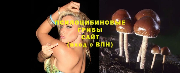 мескалин Елабуга
