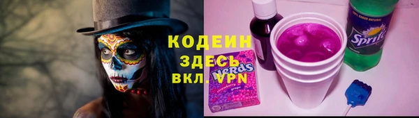 ешки Ельня