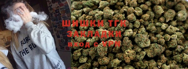 ешки Ельня