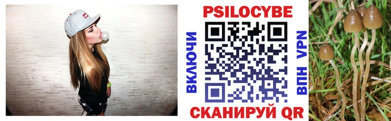 как найти наркотики  Судогда  Галлюциногенные грибы GOLDEN TEACHER 
